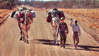 Robyn Davidson with camels on a dirt track