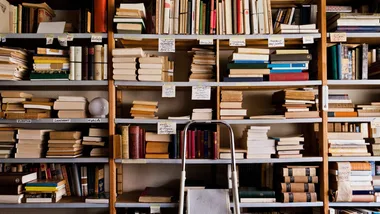 Bookshelves filled with various stacked books, labeled categories, and a small ladder in front.