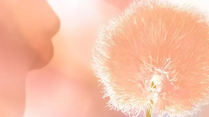 A person blowing on a fluffy pink dandelion against a soft, pink-toned background.