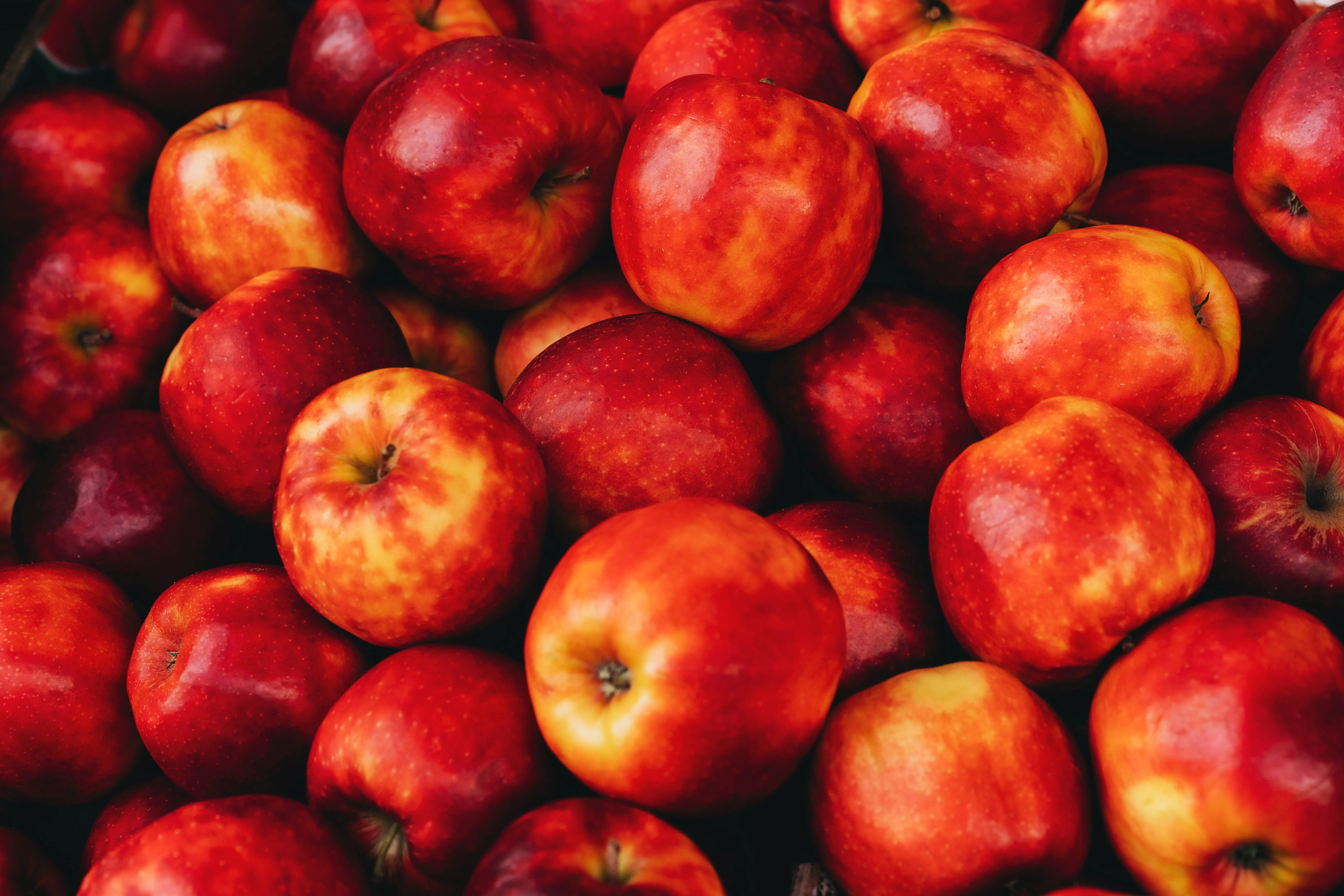 fruit in the fridge