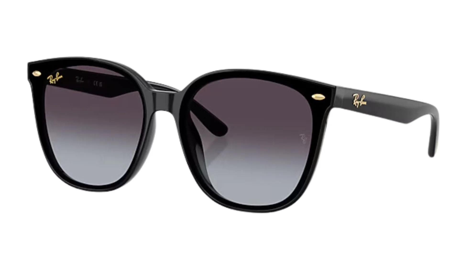 Ray-Ban Year Of The Snake sunglasses
