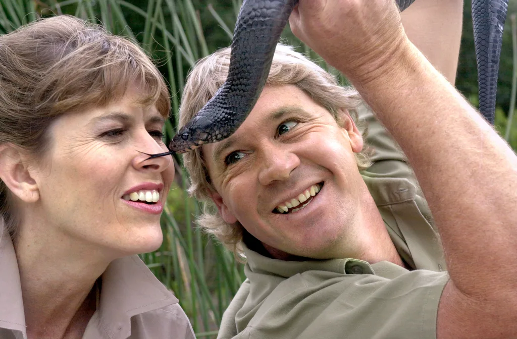 CROCODILE10C-C-26JUN02-DD-PC Steve Irwin, TV's "Crocodile Hunter", and his wife Terri were face-to-face with Kaja, an indigo snake. The Irwins visited the San Francisco Zoo to promote their new film. PAUL CHINN/S.F. CHRONICLE Ran on: 09-04-2006 Steve Irwin and wife Terri play with Kaja, an indigo snake, in a 2002 visit to the San Francisco Zoo to promote a movie. Ran on: 09-04-2006 Steve Irwin and wife Terri play with Kaja, an indigo snake, in a 2002 visit to the San Francisco Zoo to promote a movie. (Photo By Paul Chinn/The San Francisco Chronicle via Getty Images)