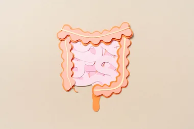 Illustration of intestines made from layered paper in shades of pink and orange on a beige background.
