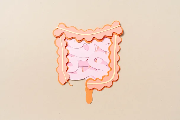 Illustration of intestines made from layered paper in shades of pink and orange on a beige background.