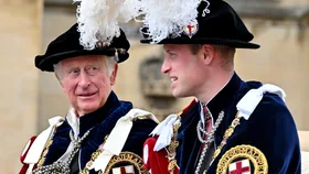 The British royal family and the line of succession