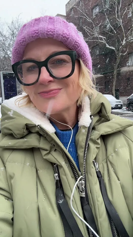 amy poehler