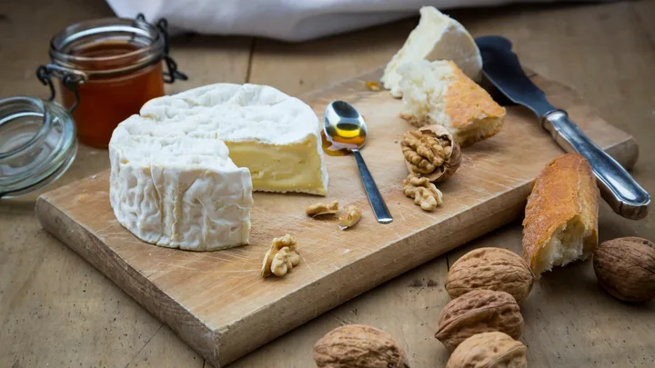camembert extinct