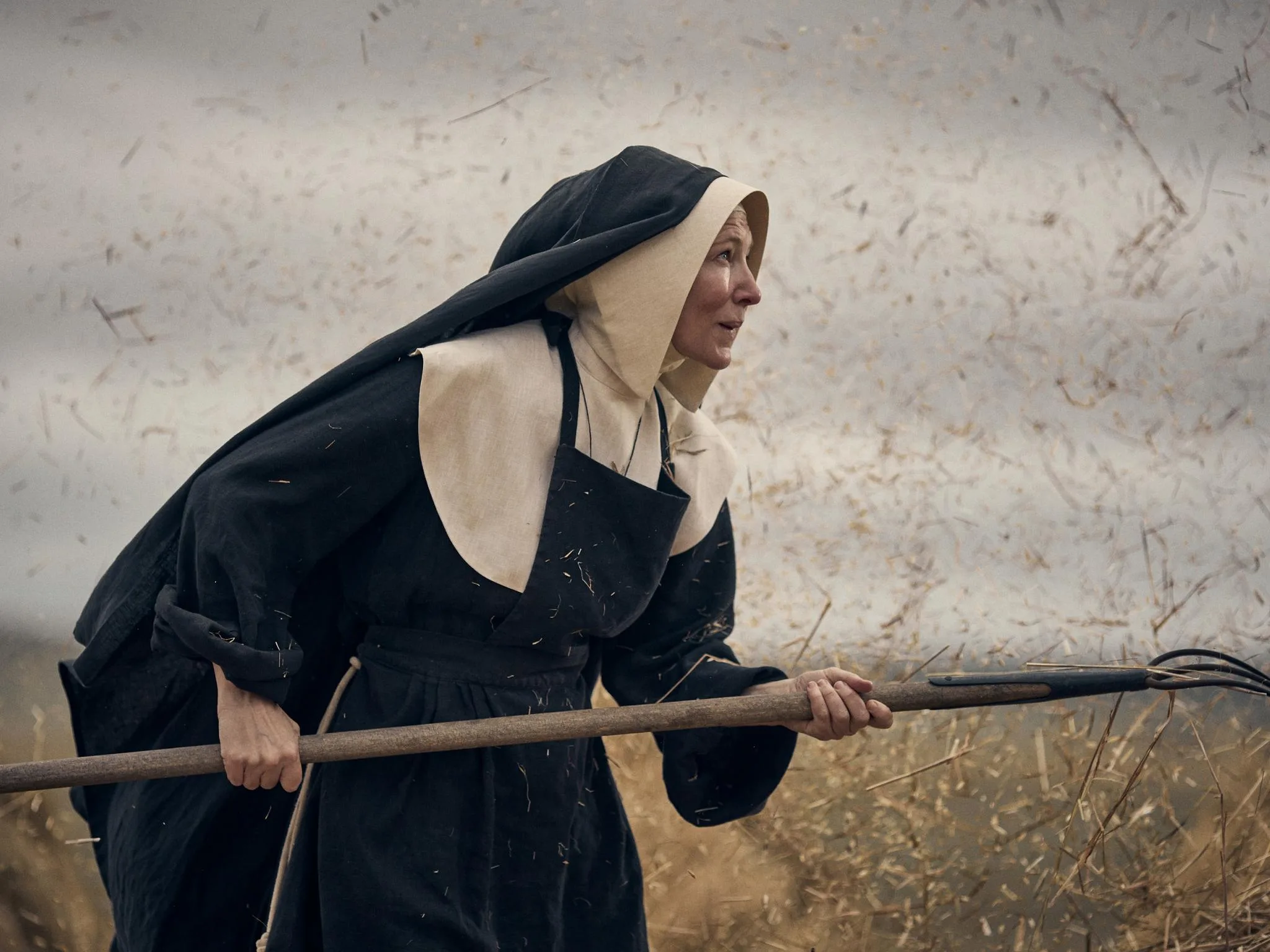 accta awards 2024: the new boy