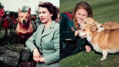 Two women, each with their respective dogs; one with a corgi, the other with two corgis, outdoors in a garden setting.
