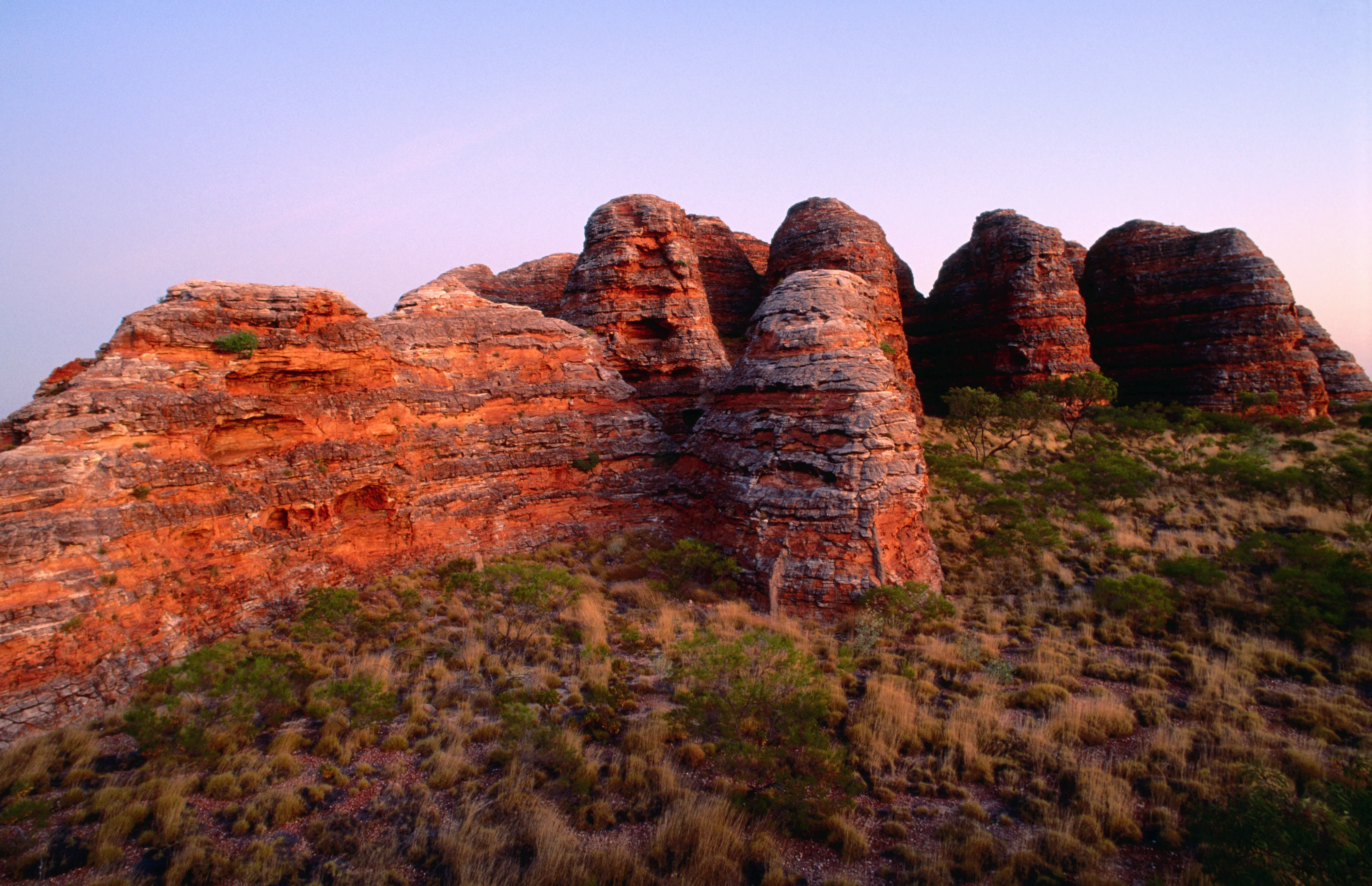 Ord Valley Muster