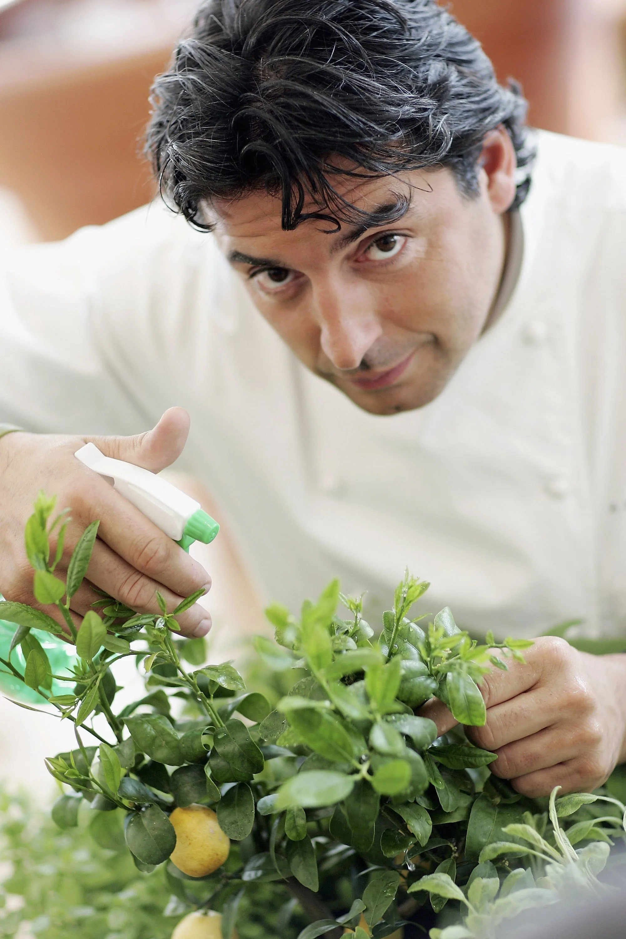 jean-christophe novelli