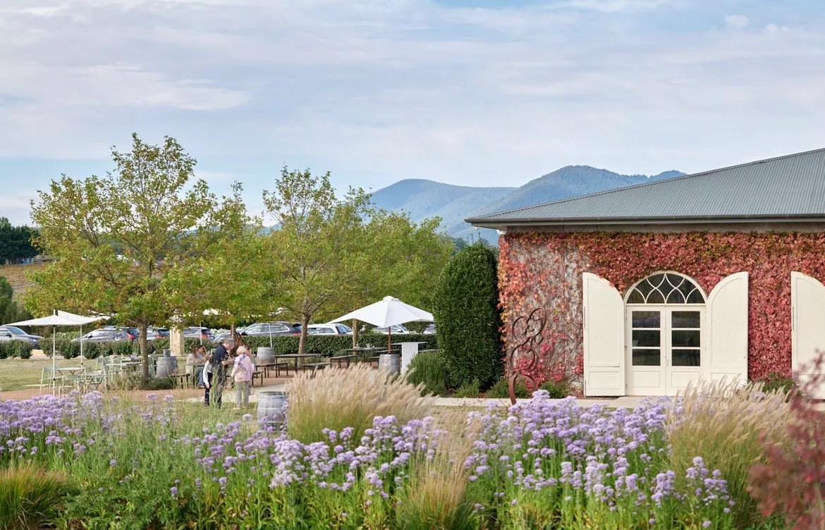 Australian wine regions