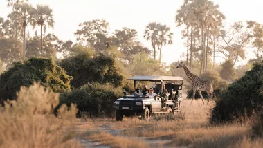 A safari through Botswana’s wildlife wonder