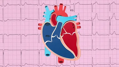 What your heart rate says about your health