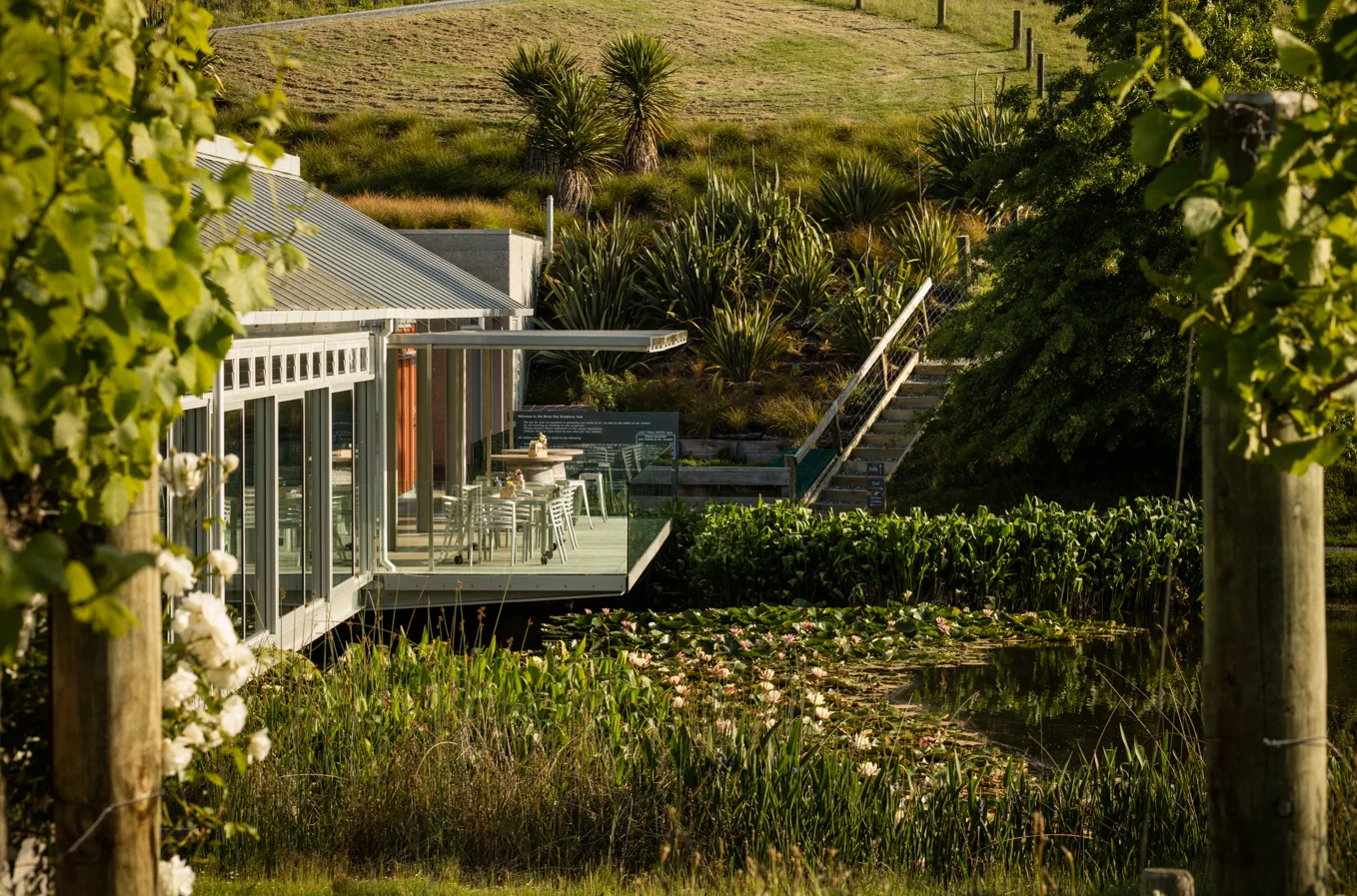 auckland new zealand