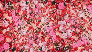 The unexpected power of roses in beauty