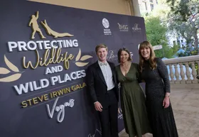 Every time Bindi and Robert have paid tribute to Steve Irwin