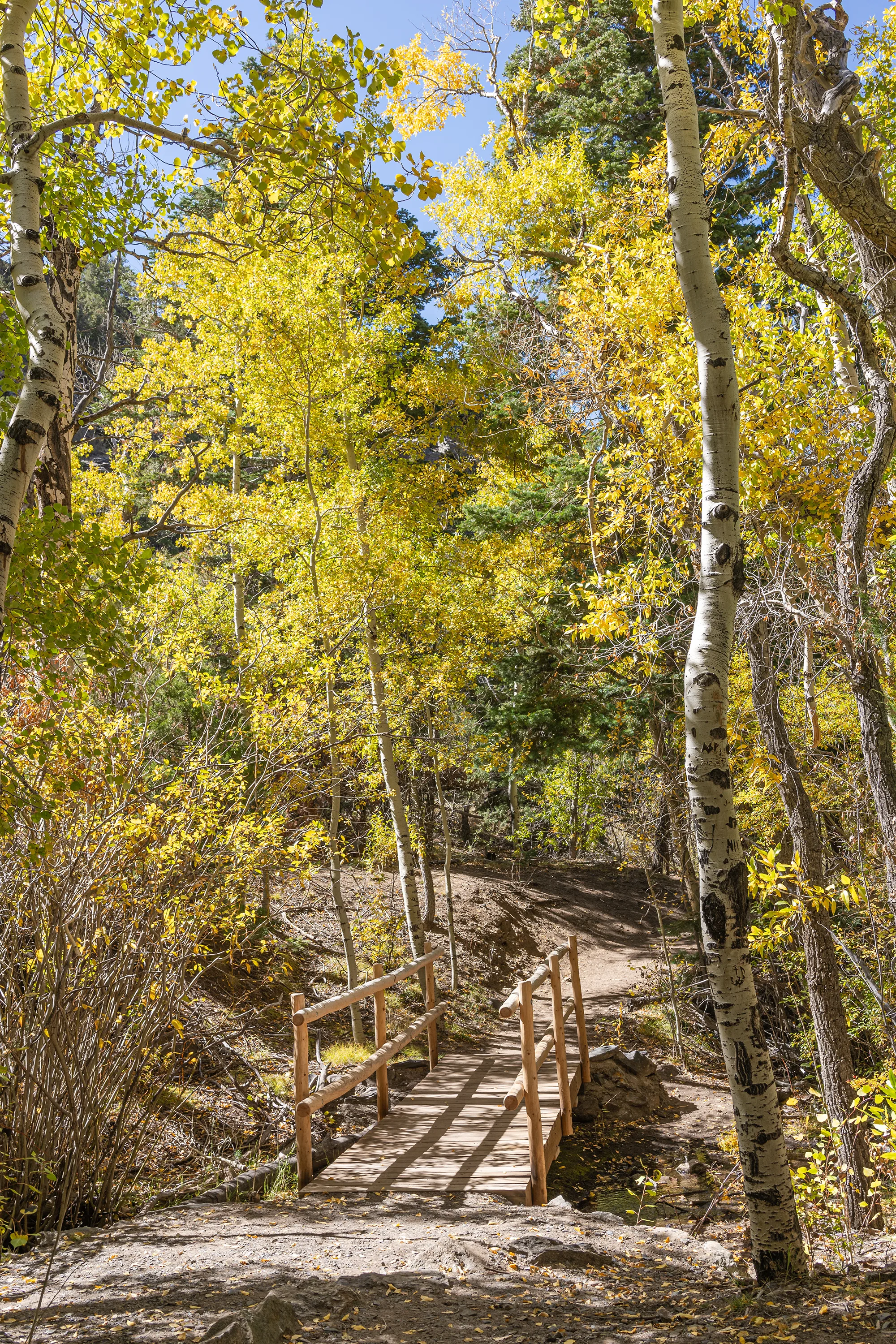 Grand Sand Dunes National Park in Colorado, USA. 