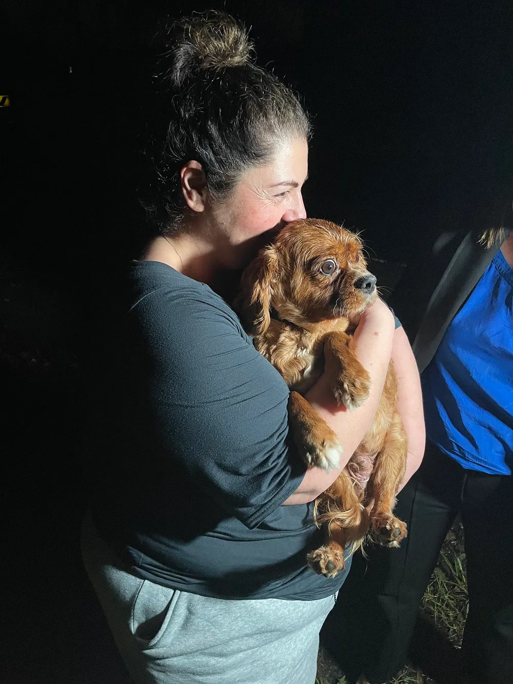 Archie and Deb were reunited by the pet detectives after a he went missing from a dog trainer. 