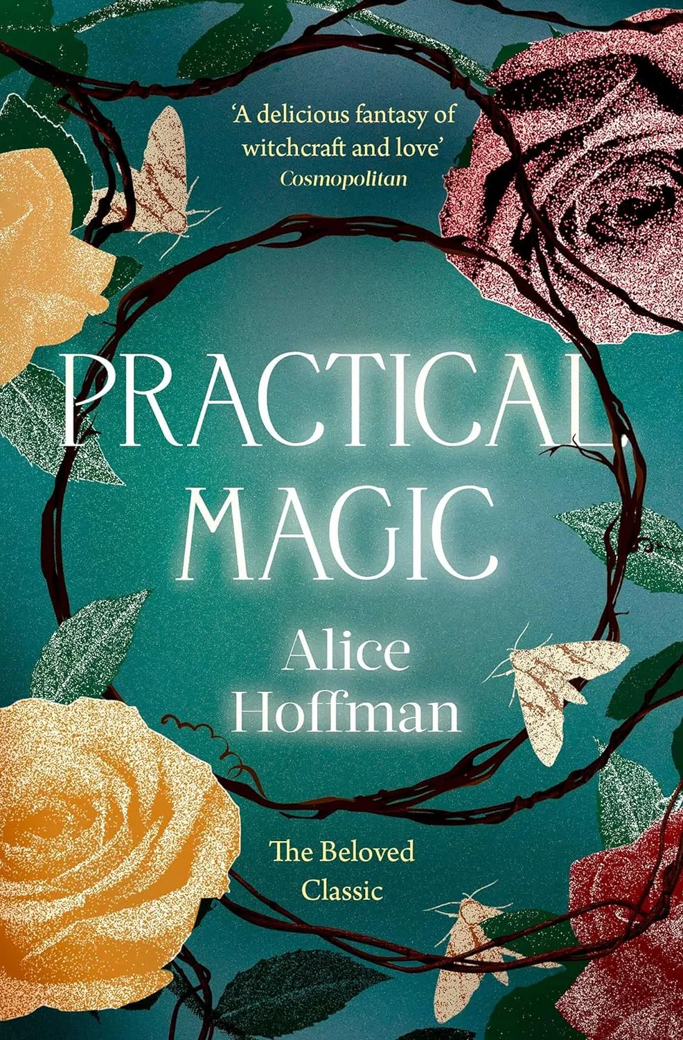 best book series: the practical magic series