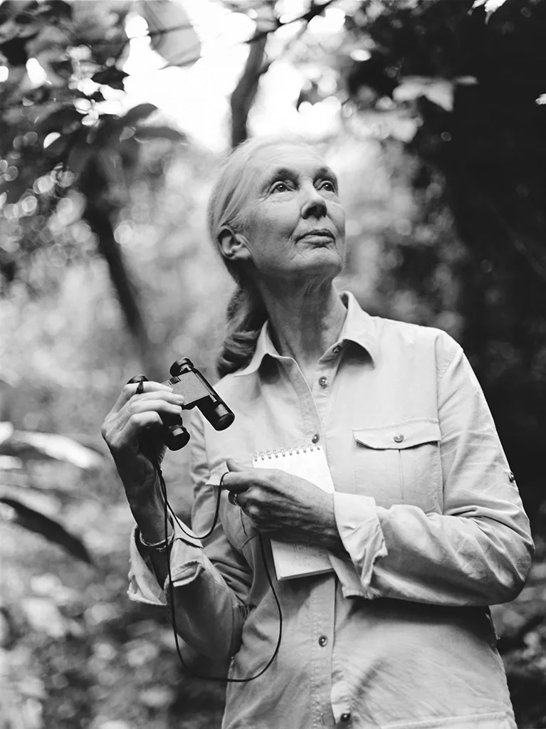 Dr Jane Goodall