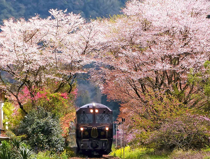 Train travel in Japan. 