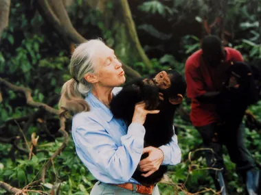 A woman lovingly holding and kissing a young chimpanzee in a lush, green forest setting.