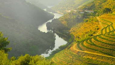 Explore the heart of Portugal with these river cruises