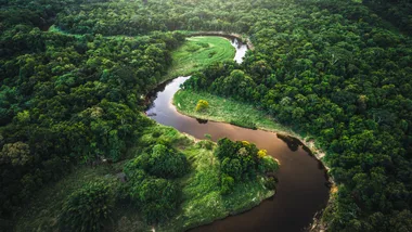 Why an Amazon river cruise is a once in a lifetime experience