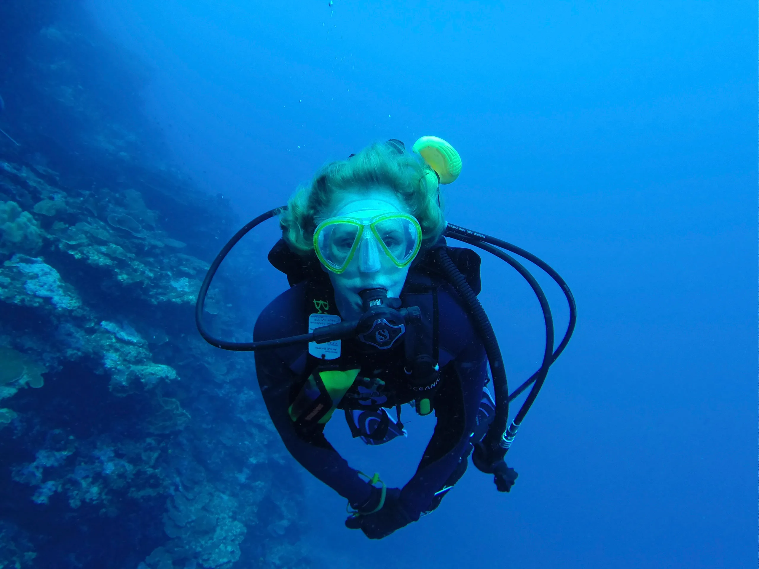 Anne Riches scuba diving. 