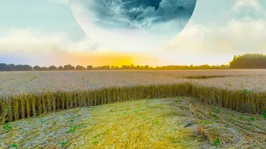 Crop field with a crop circle flattened in it.