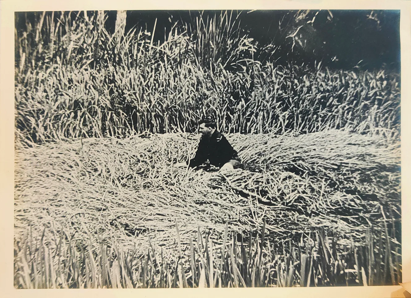 Old photo of a crop circle in Tully, Australia
