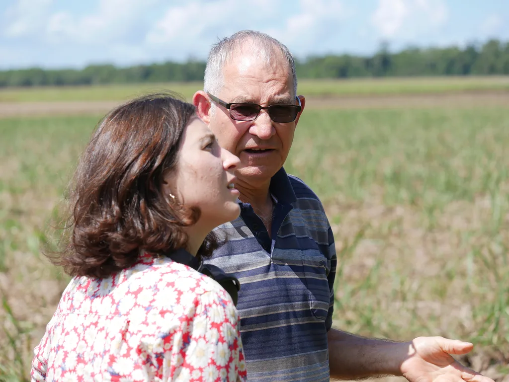 A man and woman stand in a field, talking.