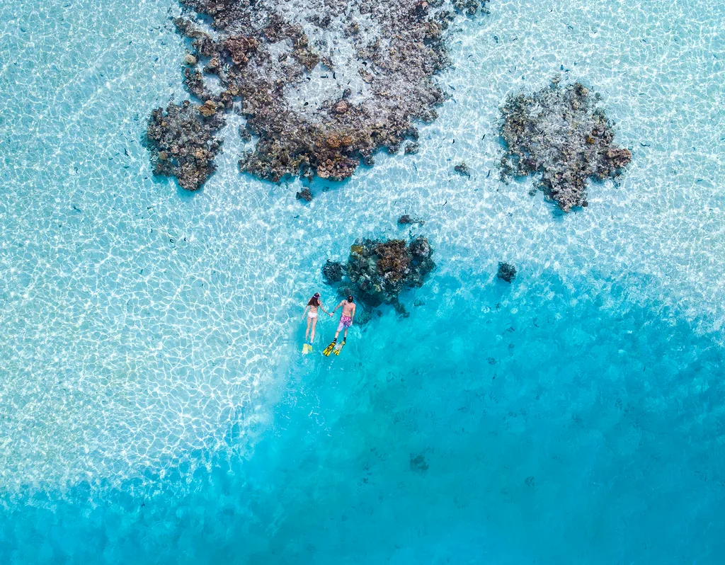 two people swimming with snorkelling gear