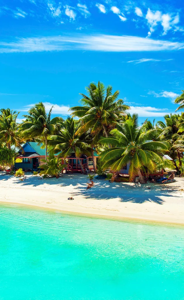 beach with a bungalow and palm trees