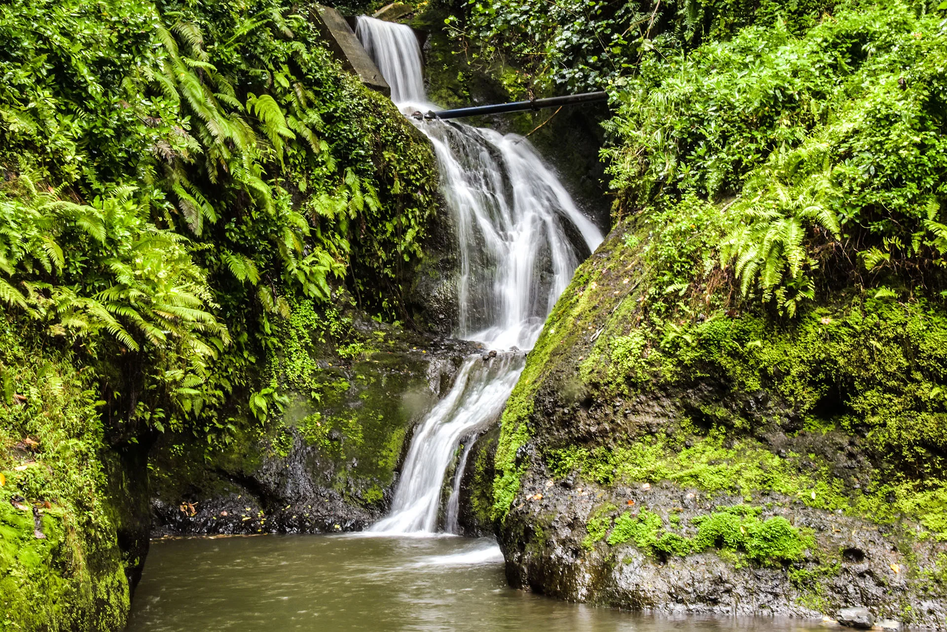 a waterfall cuts through rocks covered in ferns