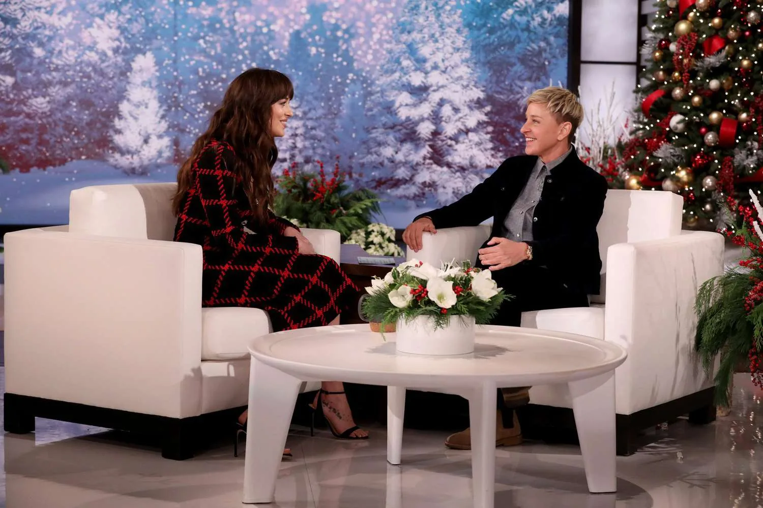 dakota johnson on ellen's show