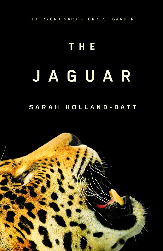 Book cover of Stella Prize winning The Jaguar. A photo of a jaguar with its mouth open.
