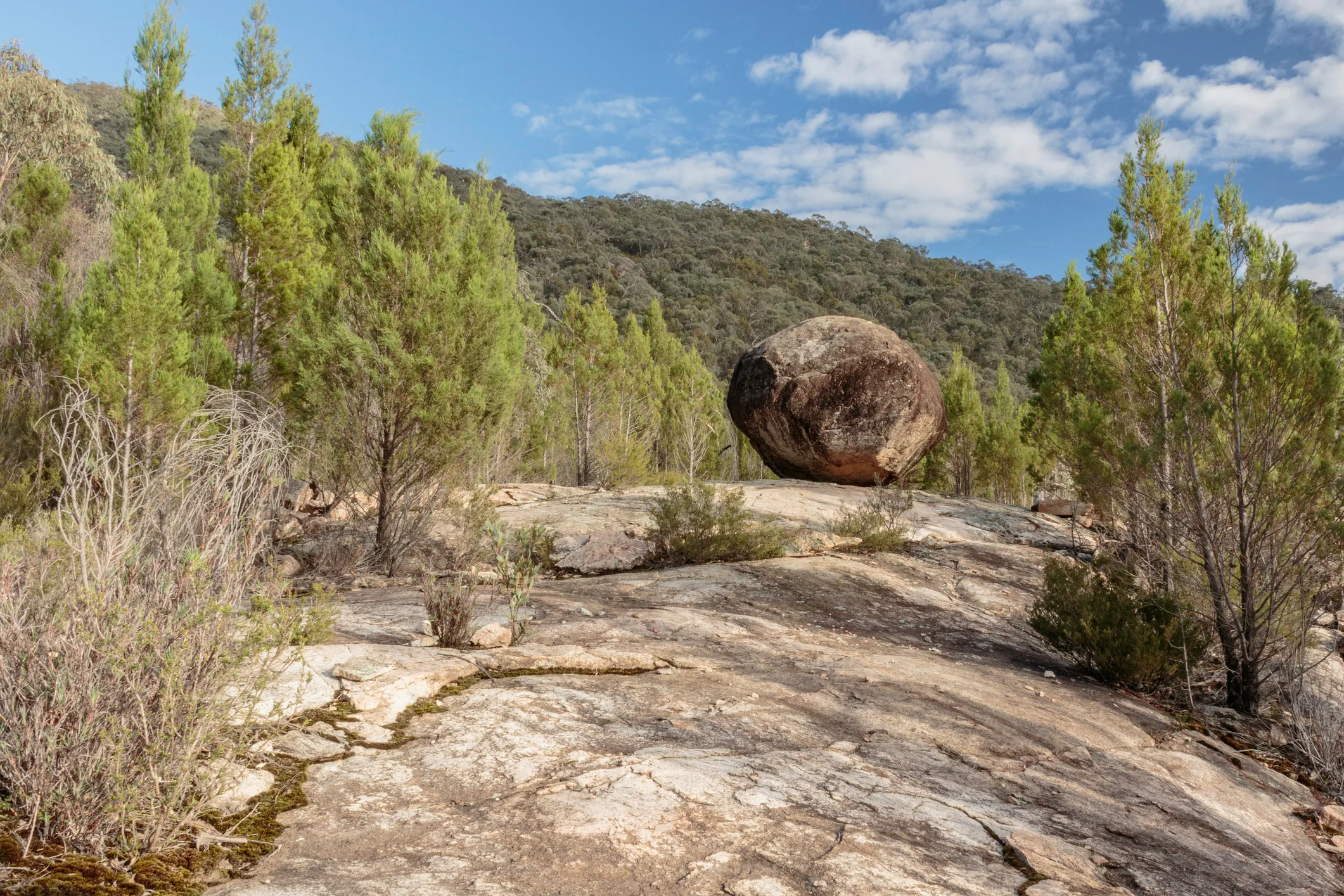 best walking trails ACT