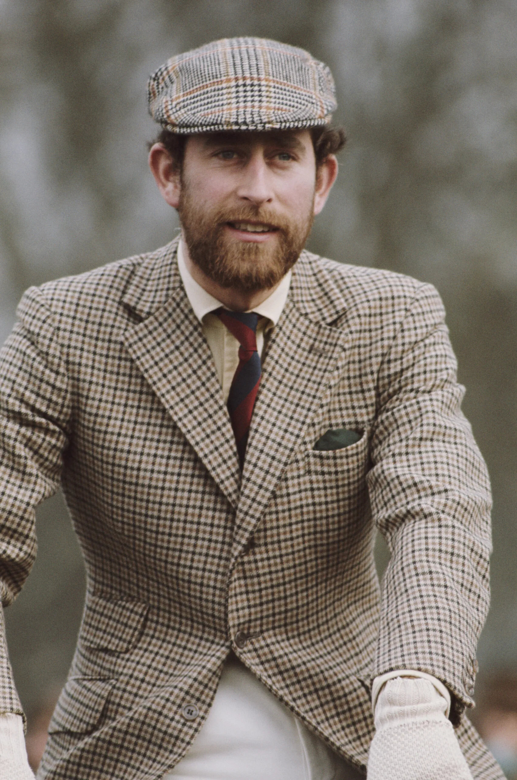 royals with beards - the then-prince charles