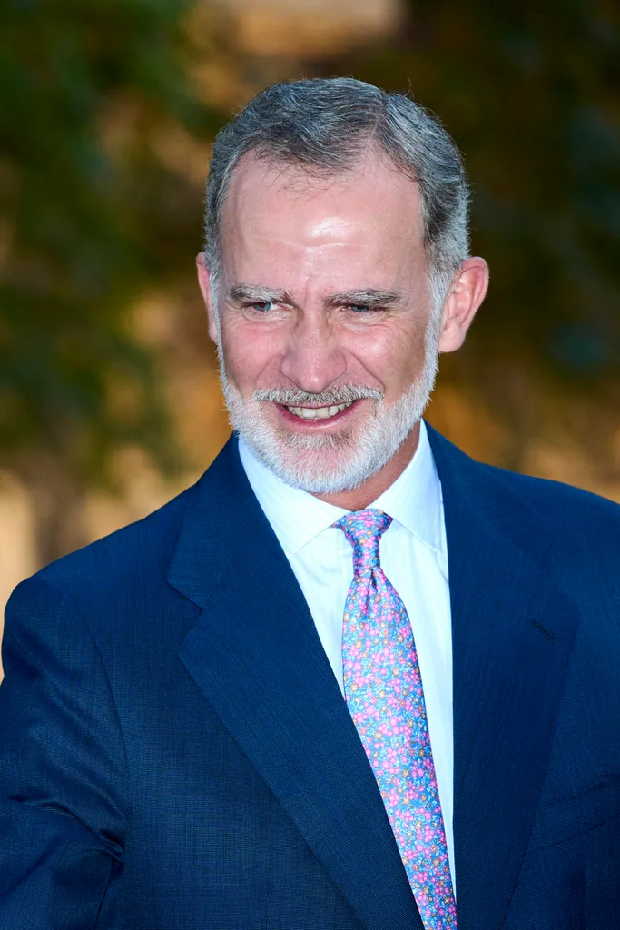 royals with beards - king felipe