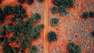Four national parks to explore around South Australia