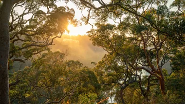 national parks nsw