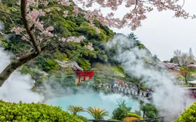 Seven unmissable experiences to have on your next trip to Japan