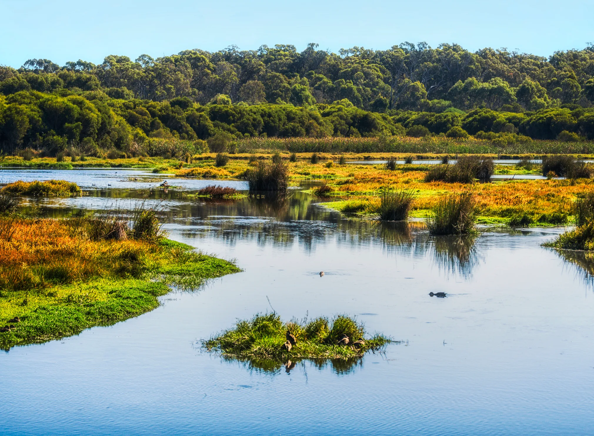 best walking trails perth