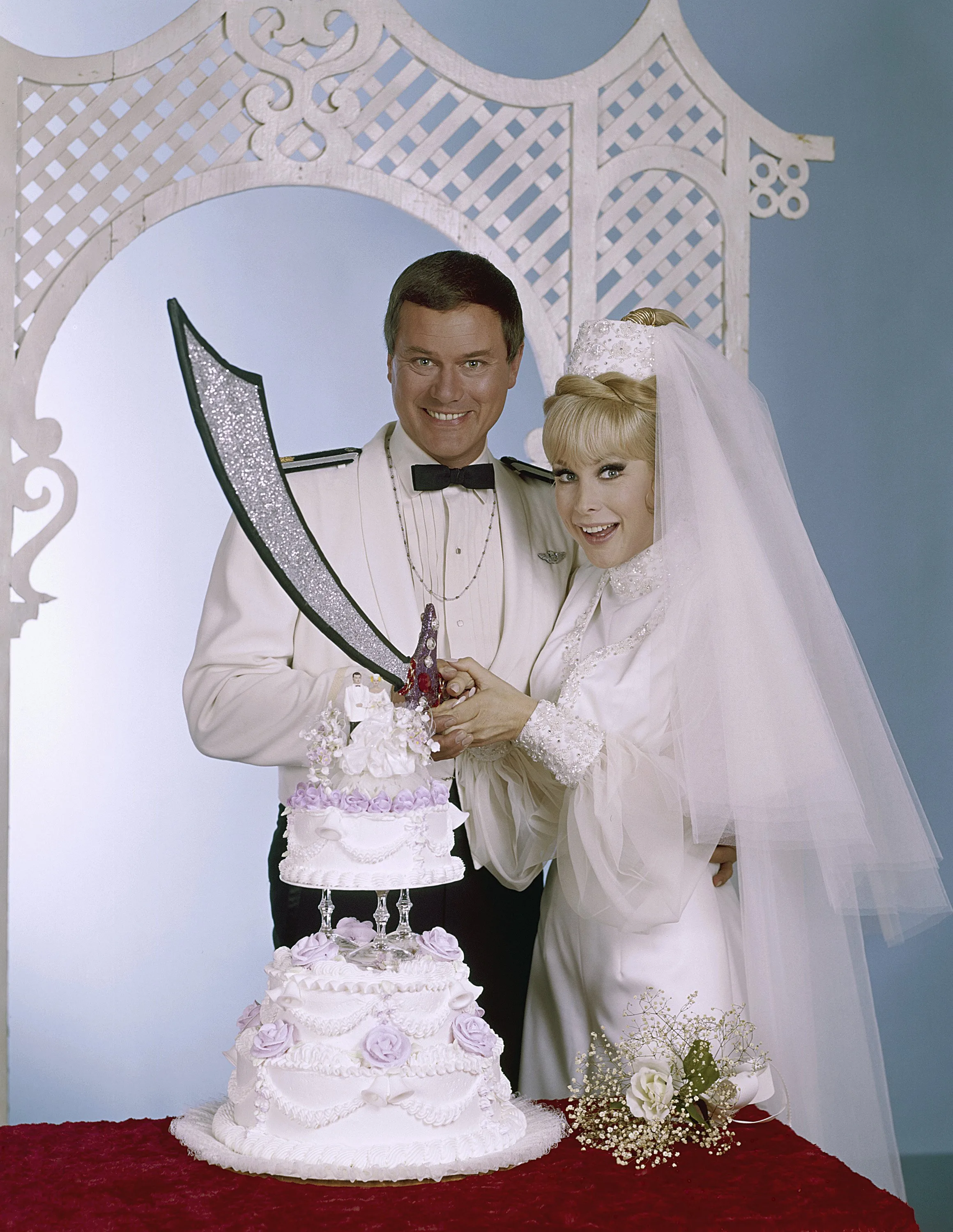 i dream of jeannie the wedding