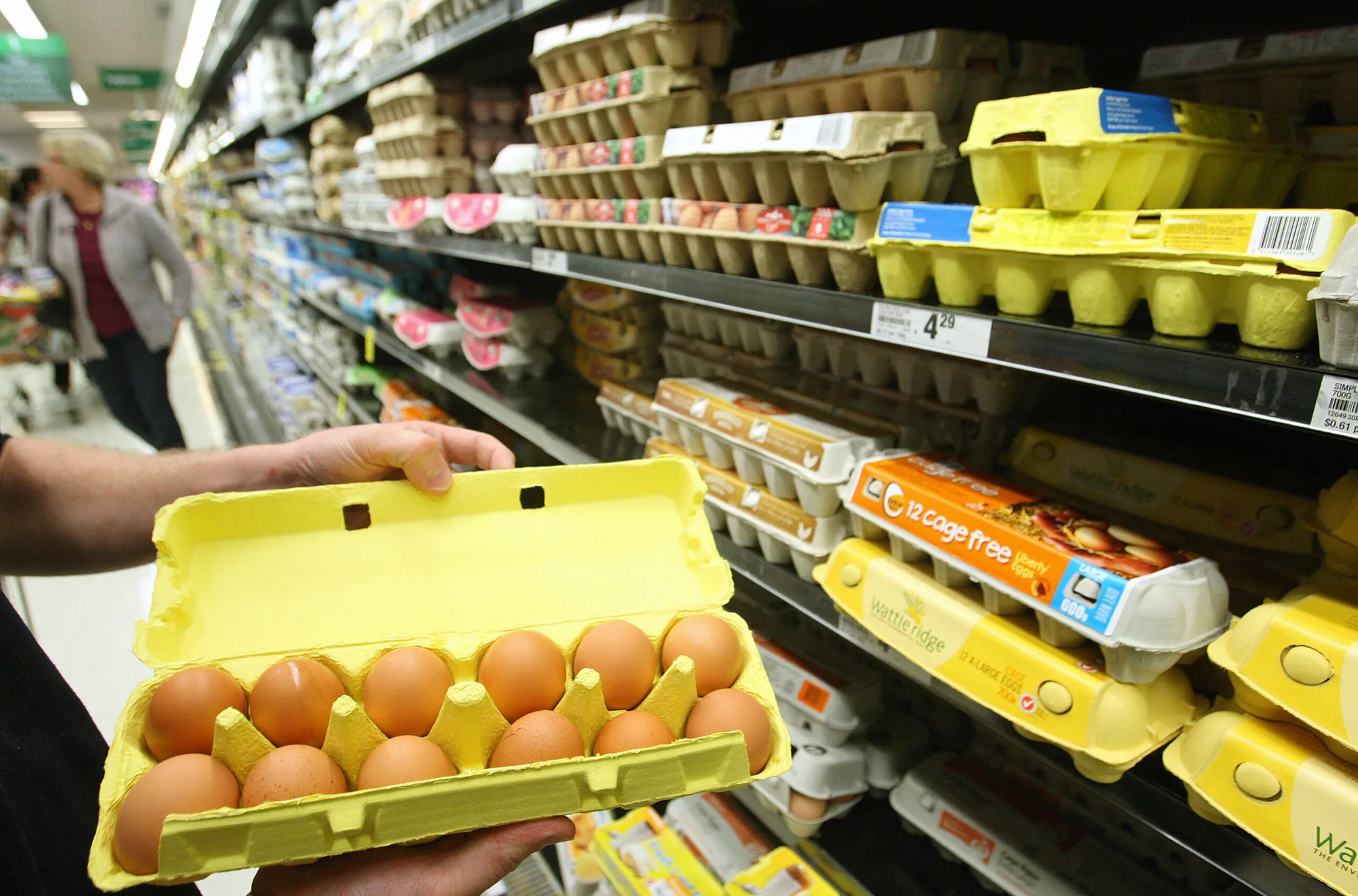 Egg shortage Australia What you need to know AWW