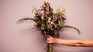 Hand holding a bouquet of wilted flowers against a pink background.