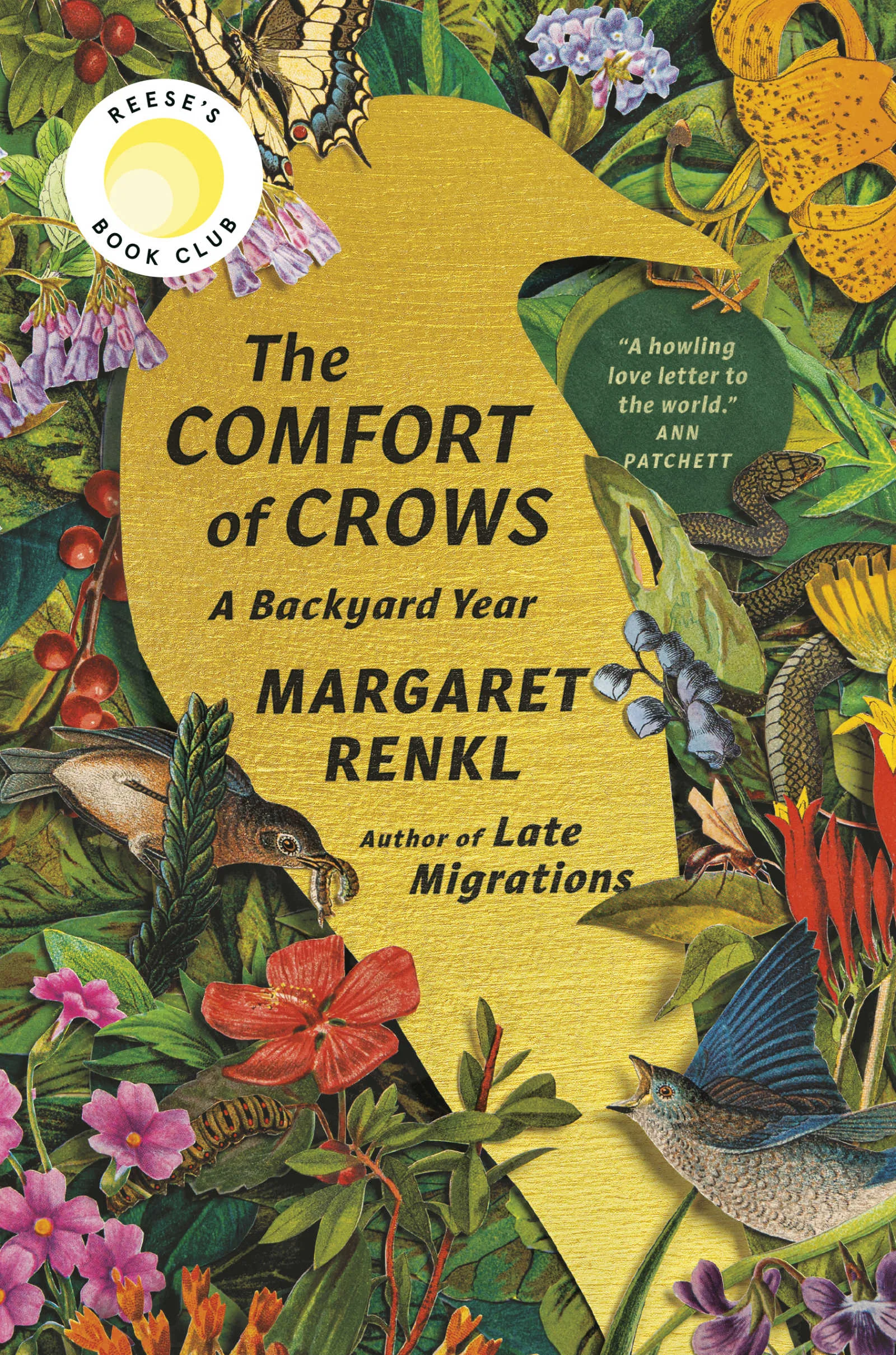 the comfort of crows