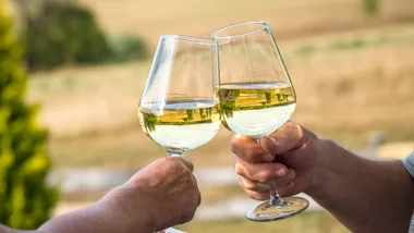 Two glasses of white wine being clinked outdoors in the sunshine on a vineyard.